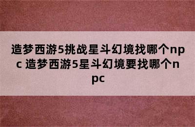 造梦西游5挑战星斗幻境找哪个npc 造梦西游5星斗幻境要找哪个npc